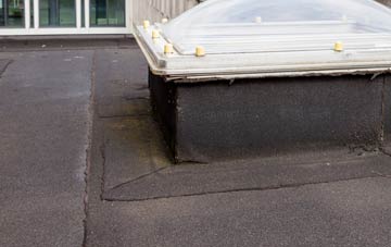 disadvantages of Far Forest flat roofs