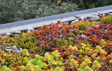 the cost of Far Forest green roof installation