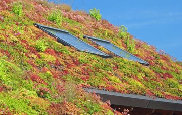 Far Forest living roof systems